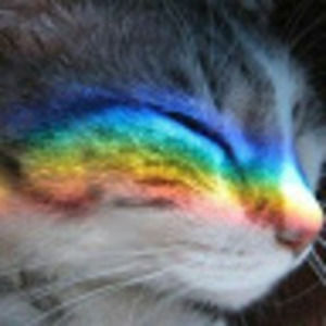 Meet your Posher, Nessa